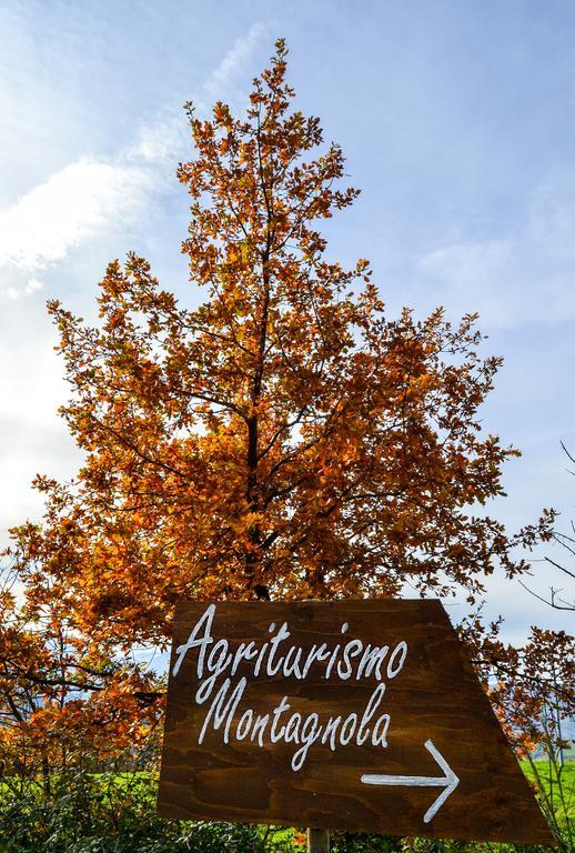 Agriturismo Montagnola Abruzzo Vila Casalanguida Exterior foto