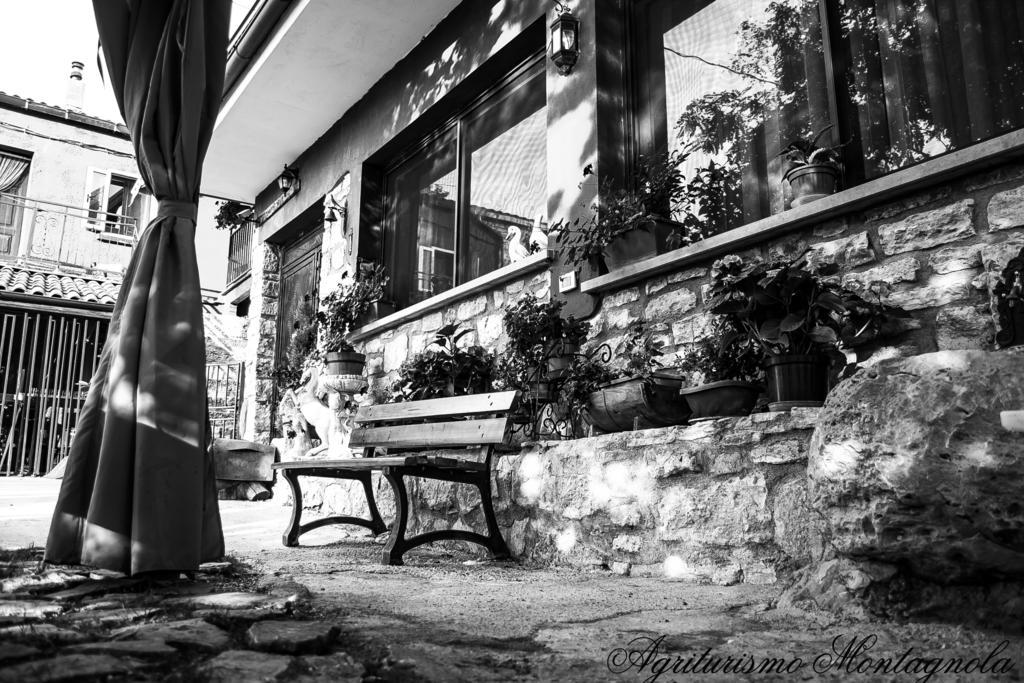 Agriturismo Montagnola Abruzzo Vila Casalanguida Exterior foto